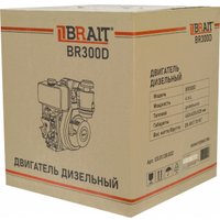 Дизельный двигатель Brait BR300D