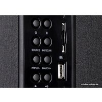 Акустика F&D F550X