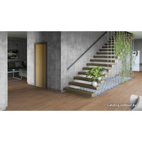 Линолеум Tarkett Prestige Dallas 2