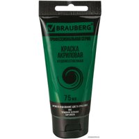 Акриловая краска BRAUBERG Art Classic 191103 (травяная зеленая, 75 мл)