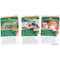 Детская настольная игра Стиль Жизни Секреты Планеты: Хищники