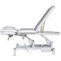 Массажный стол Richter MS 610 (белый)