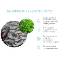 Надувной круг на шею Roxy Kids Flipper Русалка FL009-RB