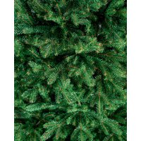 Ель GreenTerra Шарлин 2.1 м