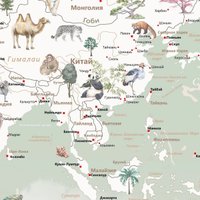 Фотообои Citydecor Детская Карта мира 351 300x260