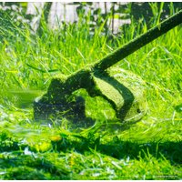 Триммер Oasis TB-150