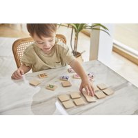 Развивающая игра Plan Toys Мемо 4656