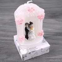 Фигурная свеча Darvish Молодожены DV-H-28