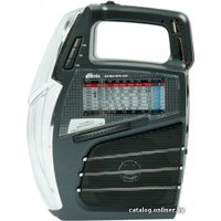 Радиоприемник Ritmix RPR-555