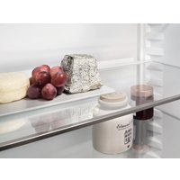 Холодильник Liebherr ICe 5103 Pure 5103-22001