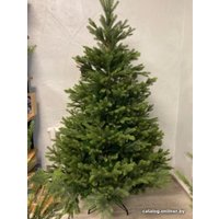 Ель GreenTerra Арлберг 2.1 м
