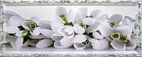 Картина Декарт Белые цветы 8Л0453 (в раме)