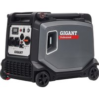 Бензиновый генератор Gigant GPIGL-3800E