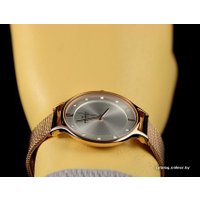 Наручные часы Skagen SKW2151