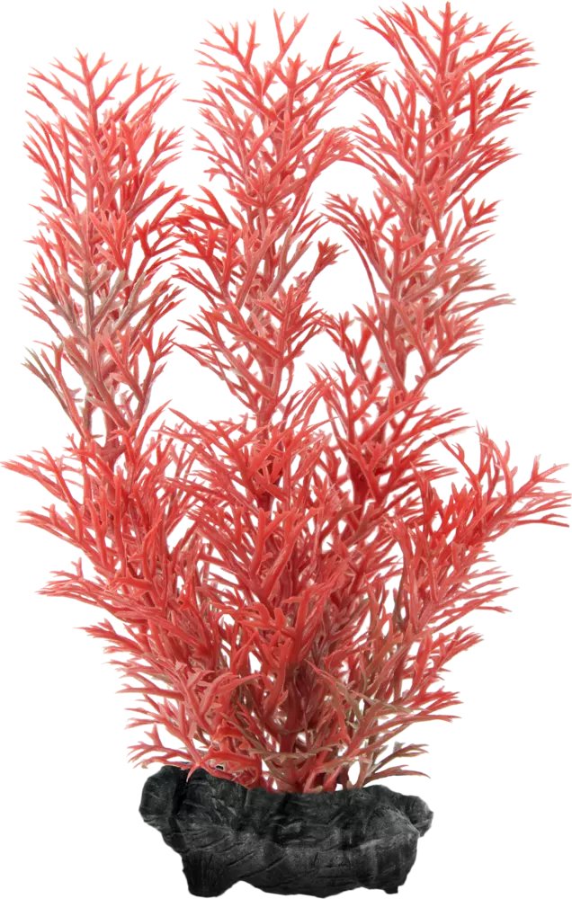 

Искусственное растение Tetra DecoArt Plant Red Foxtail (L)