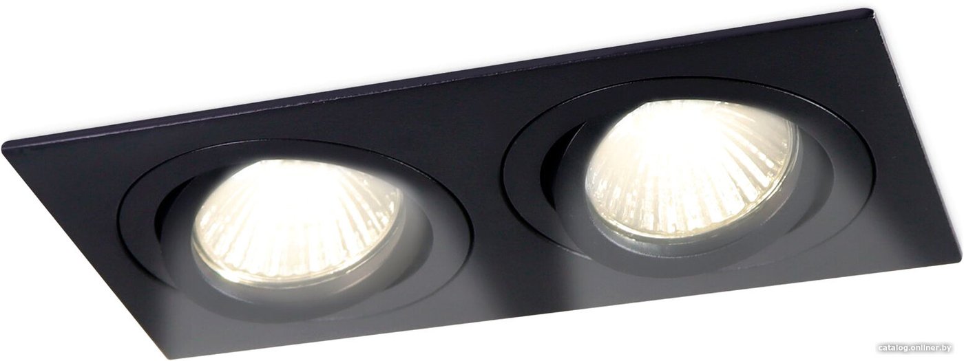Точечный светильник Ambrella light Standard Tech TN102627/2 BK