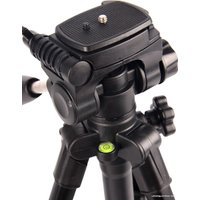 Трипод Raylab MT-Pro 32 (с головой)