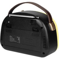 Радиоприемник Ritmix RPR-040 (лимонный)
