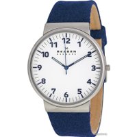 Наручные часы Skagen SKW6098