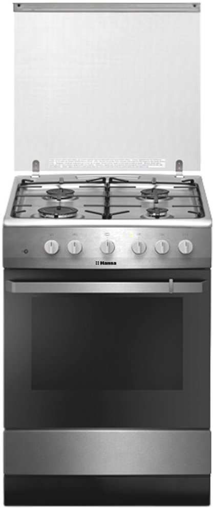 

Кухонная плита Hansa FCGX61109
