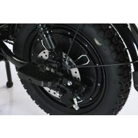 Электровелосипед Smart Balance Master Pro 50 Ah 2025 в Бресте