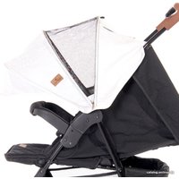 Коляска прогулочная «книга» Lorelli Ines (black leawes)