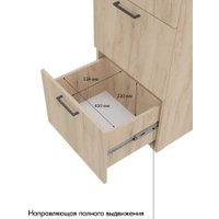 Шкаф распашной Горизонт Бонн 500 3 ящика (дуб золотой крафт)