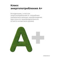 Холодильник MAUNFELD MFF176SFW