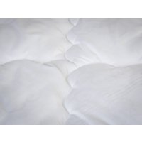 Одеяло PROxSON ЭКО легкое 172x200