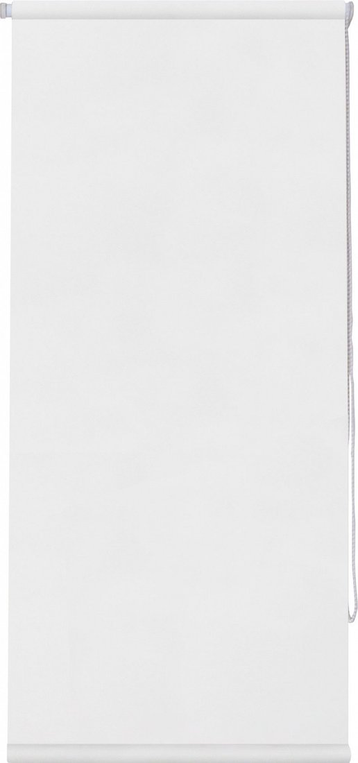 

Рулонные шторы Sundays Home LM 168-01 34х160 (белый)