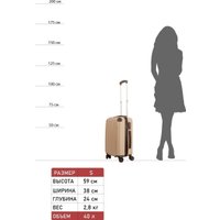 Чемодан-спиннер Supra Luggage STS-1002-S (desert sand)