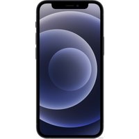 Телефон Apple iPhone 12 mini 256GB (черный)
