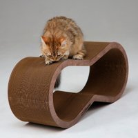 Когтеточка Happy Friends Краунт (темное дерево) в Гомеле