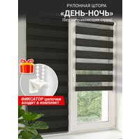 Шторы день-ночь Delfa Сантайм День&Ночь Стандарт СРШ 01МКЭД-DN40611 (55x160, черный)