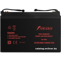 Аккумулятор для ИБП Powerman CA121000/UPS (12В/100 А·ч)