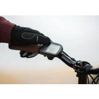 Электровелосипед Shulz E-Easy Fat (светло-серый)