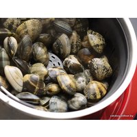 Мультиварка KitchenAid 5KCF0103EER