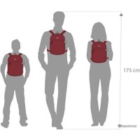 Городской рюкзак Rivacase 5422 (красный)