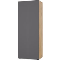 Шкаф распашной Modern Челси Ч20 (золотой дуб/графит)