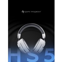 Наушники Дарк Проджект HS5 V2 (белый)