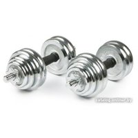 Набор гантелей Atlas Sport металлические в чемодане 20 кг (2x10 кг)