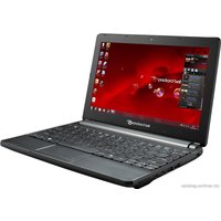 Нетбук Packard Bell DOTS-C-261G32Nkk (NU.BXQER.003)