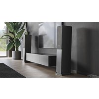 Напольная акустика Audio Pro A48 (черный)