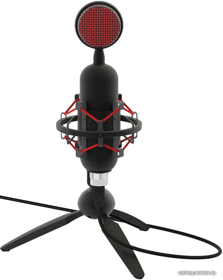 Проводной микрофон Ritmix RDM-230 USB Eloquence