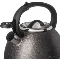 Чайник со свистком Agness Teekessel 907-253