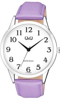 

Наручные часы Q&Q Standard C10AJ028