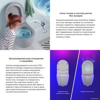 Унитаз подвесной Wellsee Chalice Perfection RimFree 182610001 (чаша, пневмокрышка, матовый серый)