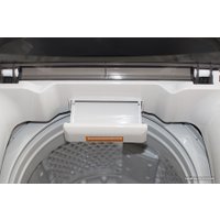 Стиральная машина с вертикальной загрузкой Renova WAT-60PT