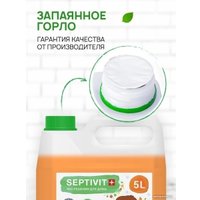 Средство для пола Septivit Мандарин (5 л)