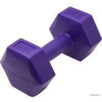 Набор гантелей BaseFit DB-305 2x2 кг (фиолетовый)